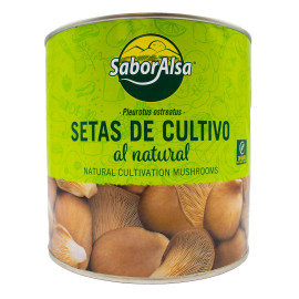 Setas De Cultivo Al Natural Producto Nacional 2,5Kg Saboralsa