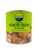 Setas De Cultivo Al Natural Producto Nacional 2,5Kg Saboralsa