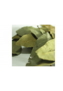 LAUREL LEAF PET 80 GRS