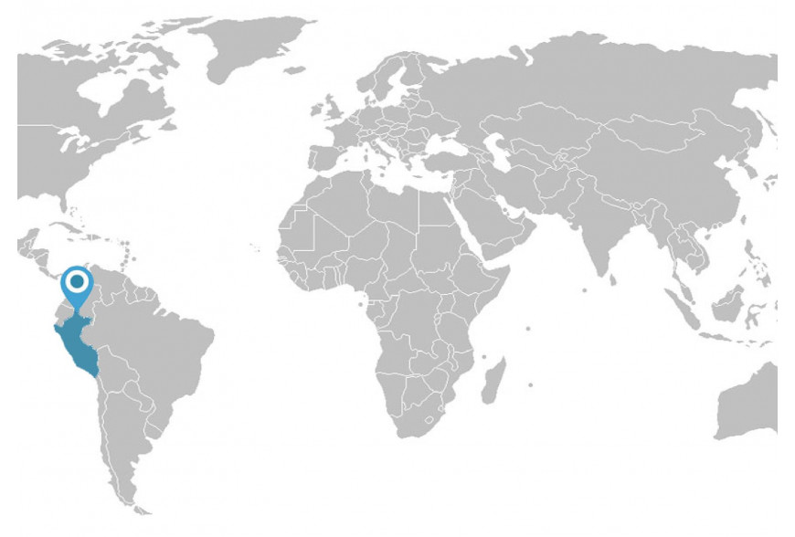 EXPORTACIÓN EN EL MERCADO PERUANO