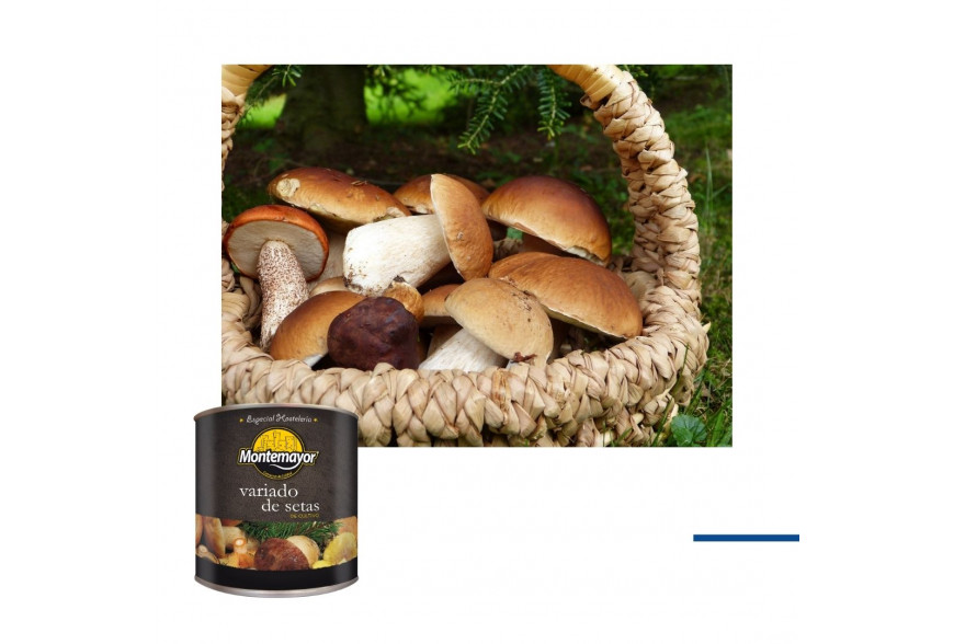 LA TEMPORADA DE SETAS ESTA AQUÍ