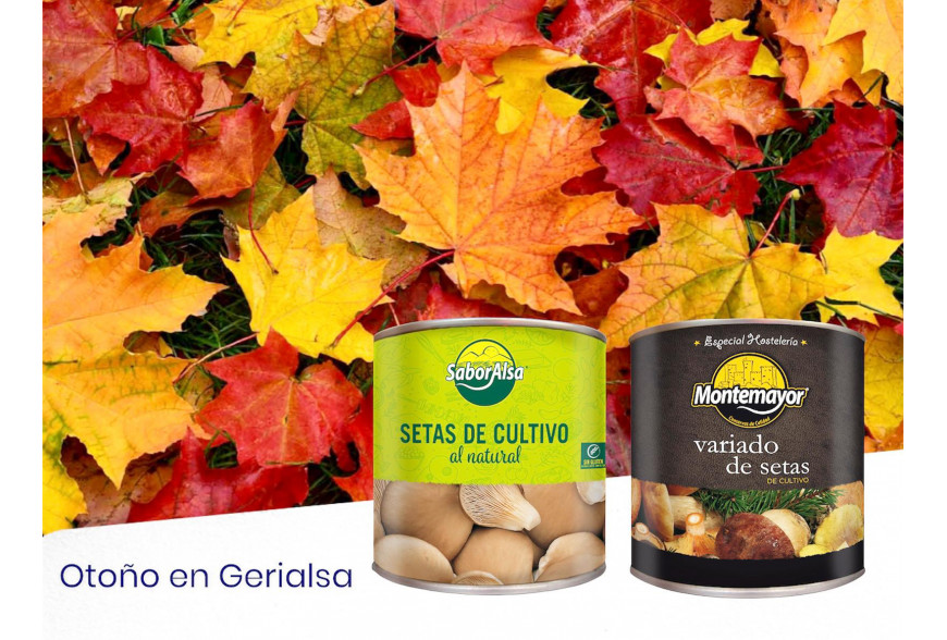 ¡BIENVENIDO OTOÑO! 