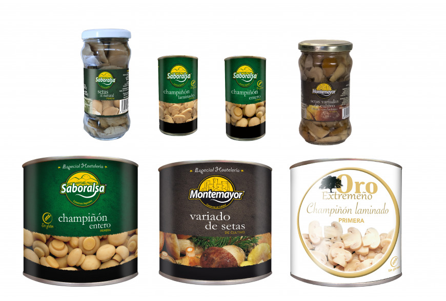 SETAS Y CHAMPIÑON 
